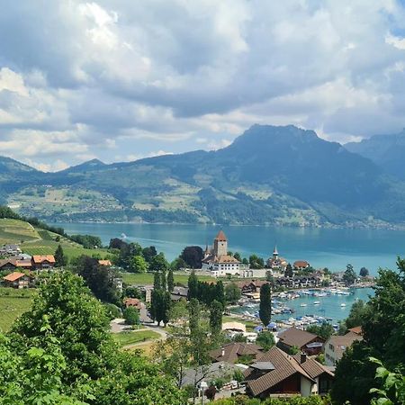 Swiss Holiday Apartments Шпиц Екстериор снимка